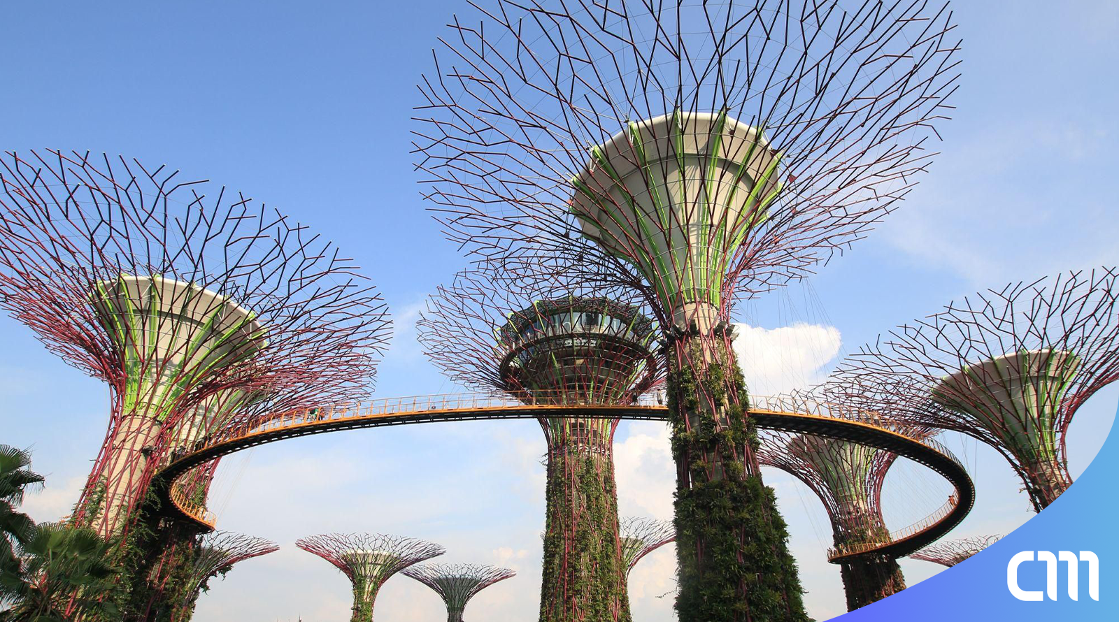 What To Eat In Orchard